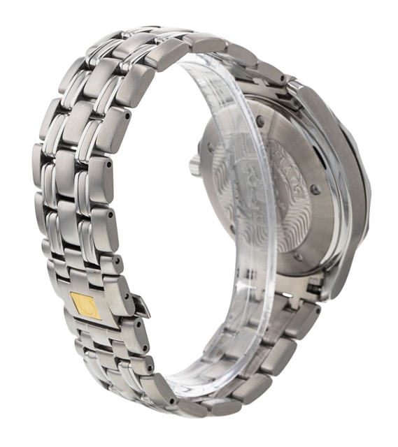 Omega Seamaster GMT 2534.50.00 Image 3